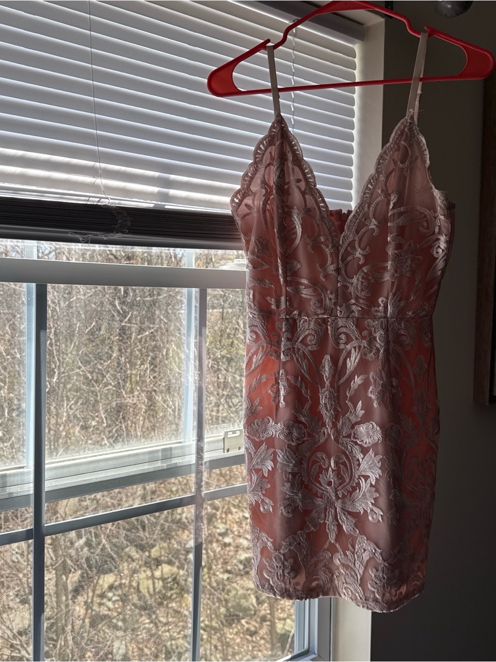 PrettyLittleThing Blush Pink Lace Embroidered Mini Dress